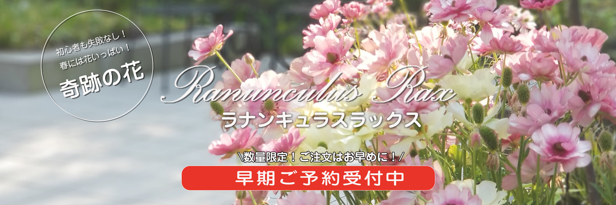 平田ナーセリー オンラインストア