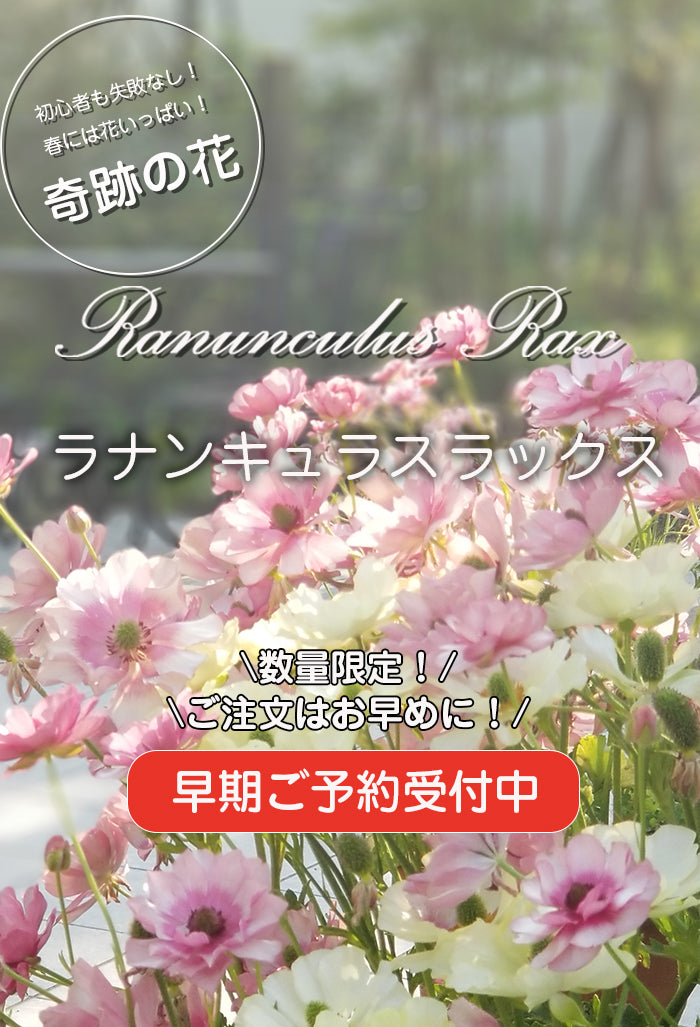 平田ナーセリー オンラインストア