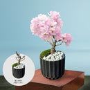 19.一才桜「旭山」