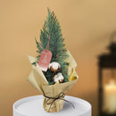 25.ローソンヒノキ「コルムナリスグラウカ」