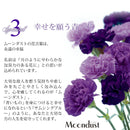 ムーンダストアレンジ「やすらぎ」