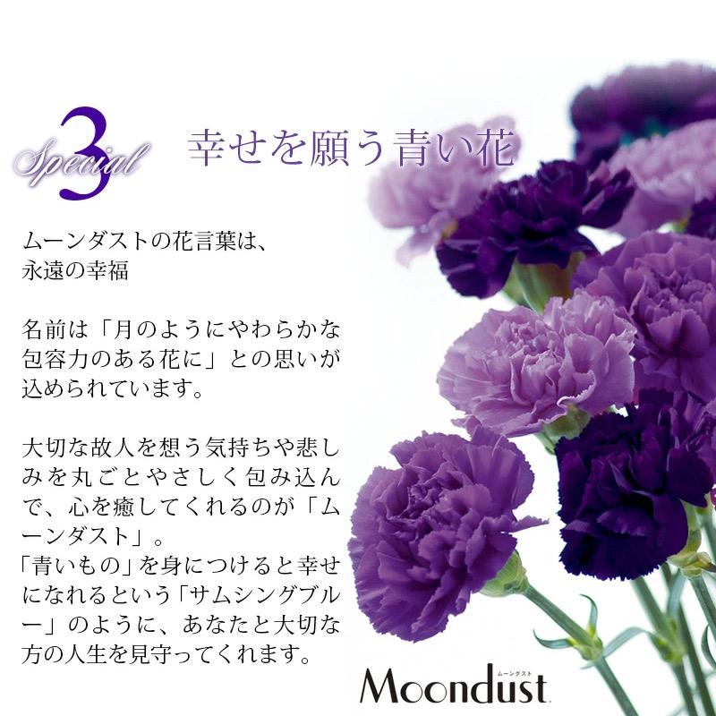 50.季節の生花アレンジ【通年ギフト】