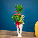 観葉寄せ植え[ホール]【通年ギフト】