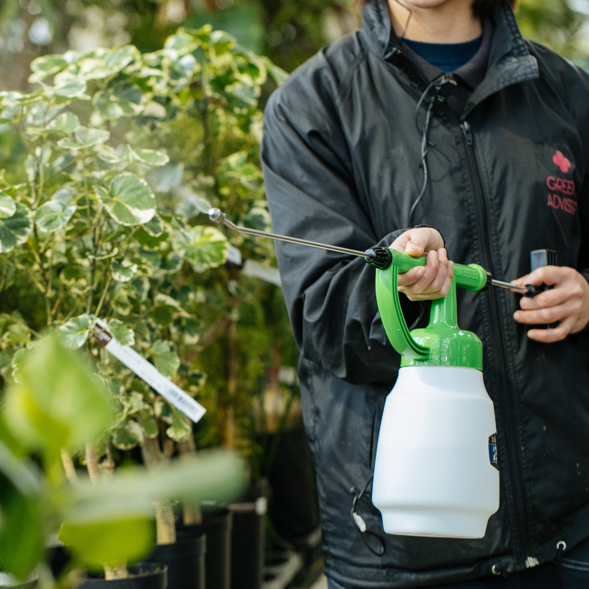 20200124_0119_1200x.jpg?v=