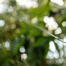 2wayスプレー　【軽量・簡単な噴霧器】