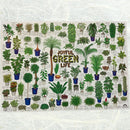 観葉植物ポスター