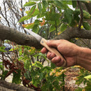 園芸用折込鋸　PlamtHuntermini【プラントハンターミニ】　TS144