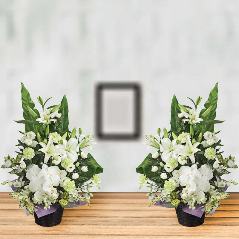 胡蝶蘭の生花アレンジ 「1対」