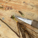 竹霞　田主丸型　接木小刀　TS015