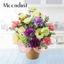 季節の花とムーンダストの生花アレンジ【通年ギフト】