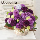 52.ムーンダストスペシャル【通年ギフト】