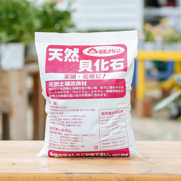 淡水二枚貝の化石に模様 世界で2例目で最古、福井 - 産経ニュース