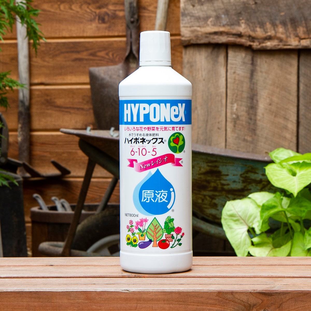 ハイポネックス 原液 800mL