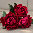 オデュッセイア【ロサオリエンティス】  12月下旬～1月頃発送