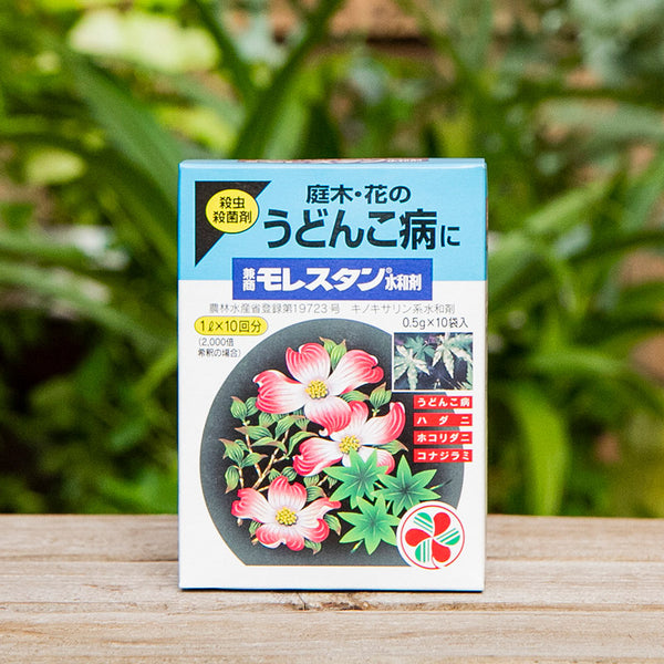 モレスタン水和剤 0.5g×10袋 【うどんこ病専門薬】