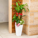 観葉寄せ植え[スクエア]【通年ギフト】