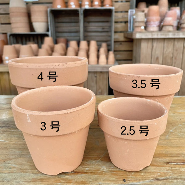 最新人気 素焼鉢 3号 その他