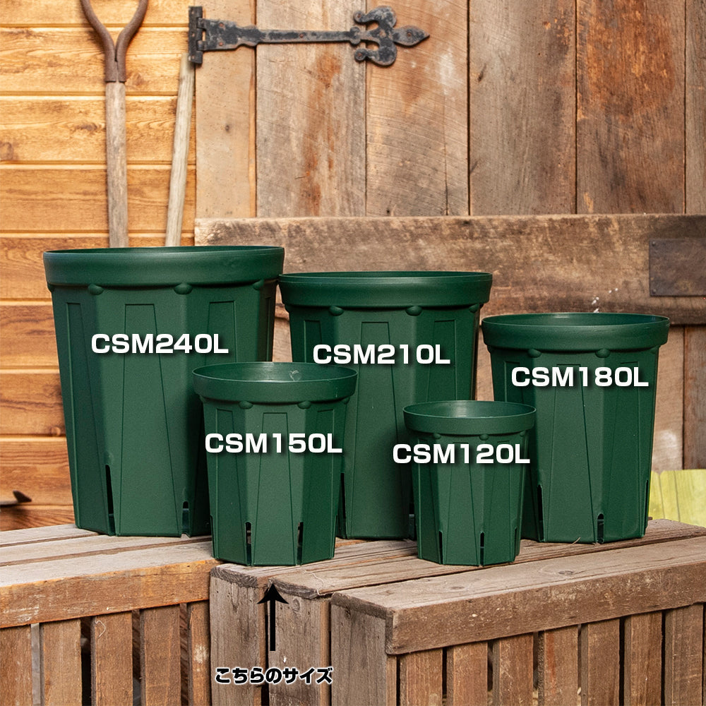 スリット鉢 CSM-150L 5個セット