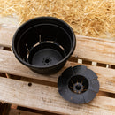 ハングポット（スリット鉢）5号鉢　【5鉢セット】　着生植物に最高！