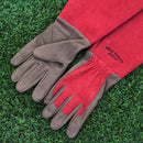 ウェストカウンティローズ　グローブ（ルビー）／WEST COUNTY　