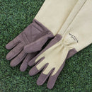 ウェストカウンティローズ　グローブ（モス）／WEST COUNTY