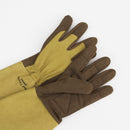 ウェストカウンティローズ　グローブ（モス）／WEST COUNTY