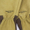 ウェストカウンティローズ　グローブ（モス）／WEST COUNTY