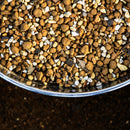 GOOD SOIL クリスマスローズの土 5L