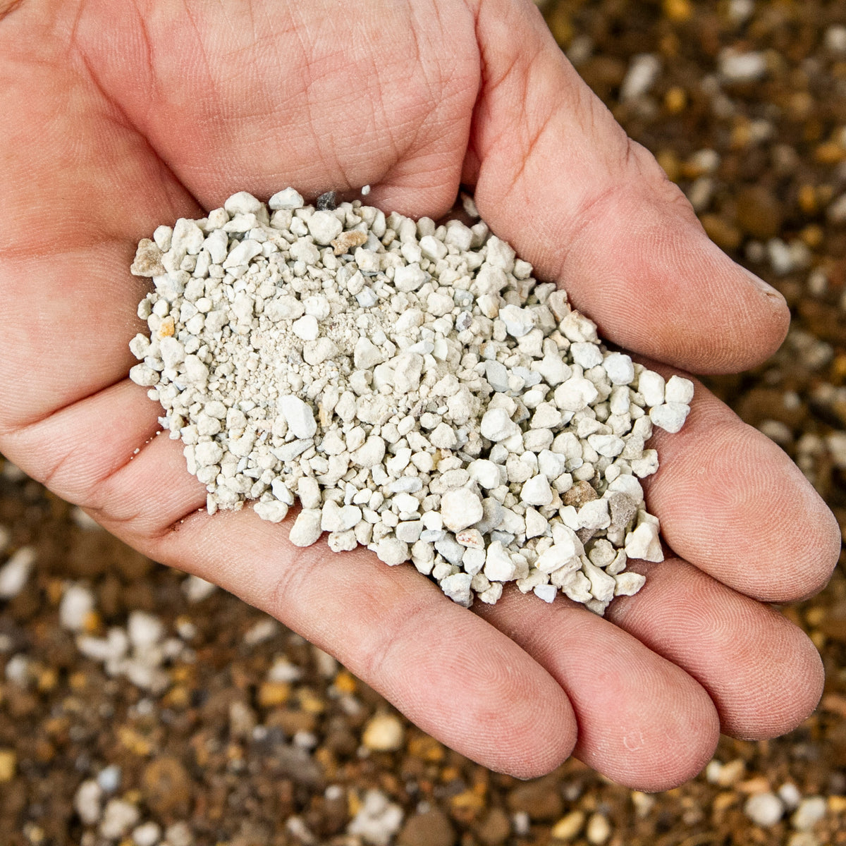 HTN_ph_1015_s_20_s_1200x.jpg?v