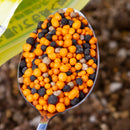 オール・パーパス　600ｇ／ALL PURPOSE　