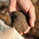 ソイルフード／SOIL FOOD