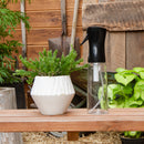 ミストスプレー／MIST SPRAY　350ｍL 【BANKSCOLLECTION】　