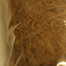 ヤシの繊維　100ｇ