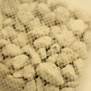 くり返し使える底石