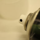 フルール・アミ　リーフシャイン／fleur ami LEAF SHINE　750ml【植物用ツヤ出しスプレー】