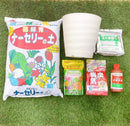 植替え お買い得　安心６点セット　