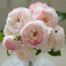 サボン【河本バラ園】　 12月下旬～1月頃発送