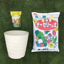 植替え お買い得　基本3点セット　