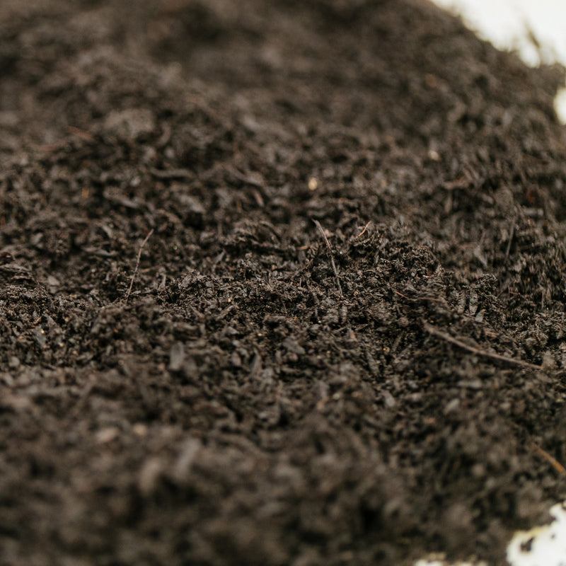 バラの寒肥応援スペシャルセット　【寒肥応援セール　期間限定送料全国一律1000円】