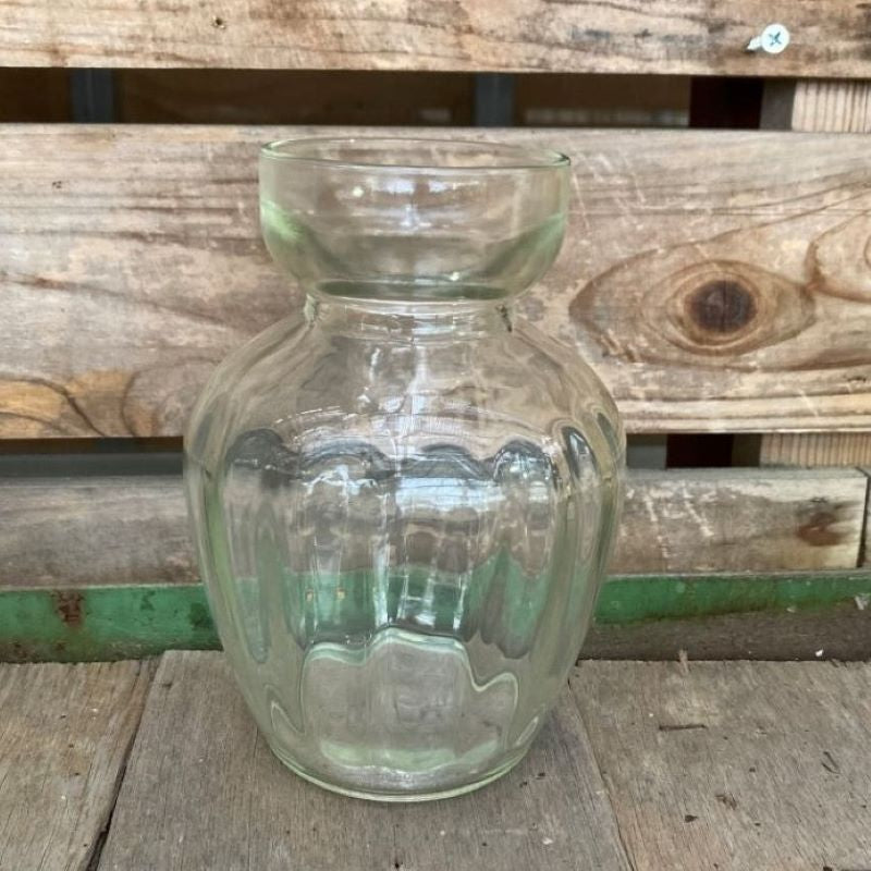 ヒヤシンスガラスポット